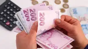 Çalışma ve Sosyal Güvenlik Bakanı Vedat Işıkhan, Aralık ayında yapılacak