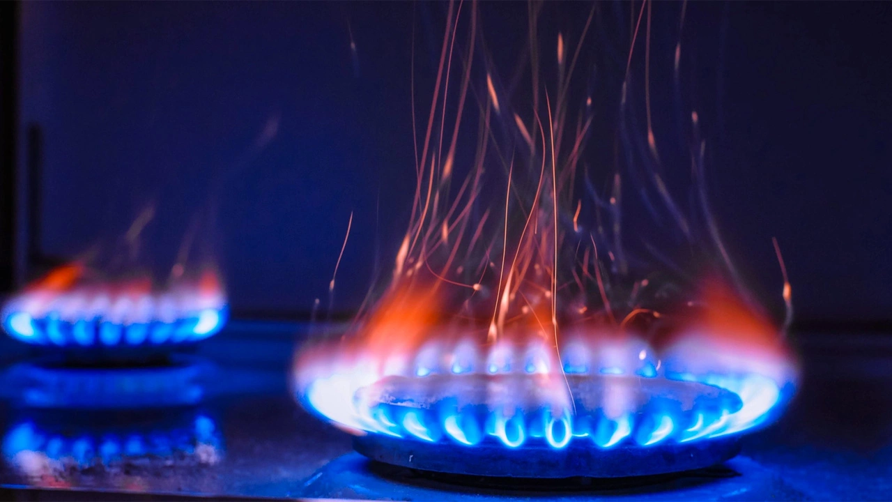 Doğalgaz destek ödemeleri başladı! Bakan Göktaş, yaptığı yazılı açıklamada, Düzenli Doğal Gaz Tüketim Desteği’nin