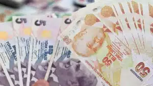 Türkiye Cumhuriyet Merkez Bankası (TCMB), yeni 5 TL ve 50