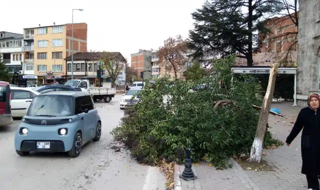 Olay, saat 12.00 sıralarında Sinanbey Mahallesi Yenişehir caddesinde meydana geldi.