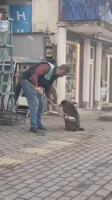 Bursa’da iç ısıtan görüntüler Olay, Bursa‘nın Yenişehir ilçesinde meydana geldi. Edinilen bilgiye göre, Hüseyin