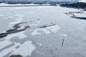 Hava sıcaklığının gece sıfırın altında 10 dereceye kadar düştüğü kentte