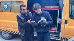 Davutkadı Mahallesi Musababa Caddesi üzerinde park halindeki aracının motor kısmından