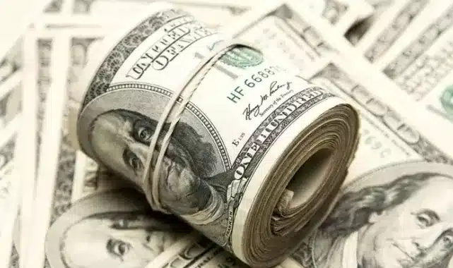 20 Aralık 2024 Cuma günü itibarıyla dolar ve euro kurları