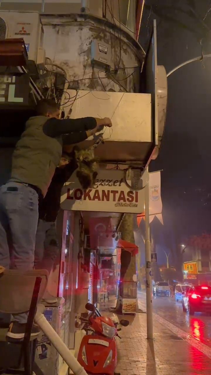 Bursa’da kablolara dolanan kedi kurtarıldı! Olay, saat 01.30 sularında Kılıçaslan Caddesi’nde meydana geldi. Gece saatlerinde