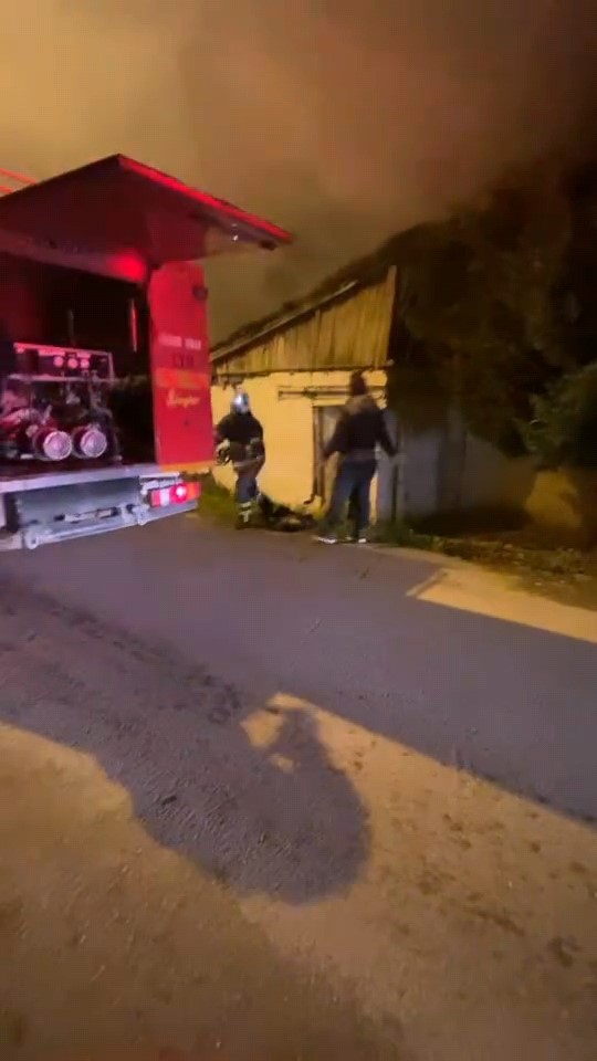 Bursa’da hayvan çiftliğinde çıkan yangında 10 tavuk 100 civciv telef oldu Yangın, saat 00.00 sıralarında Çeltikçi Mahallesinde bulunan kanatlı hayvan çiftliğinde