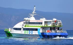 Bursa Deniz Otobüslerinin (BUDO) internet sayfasından iptaller hakkında yapılan duyuru