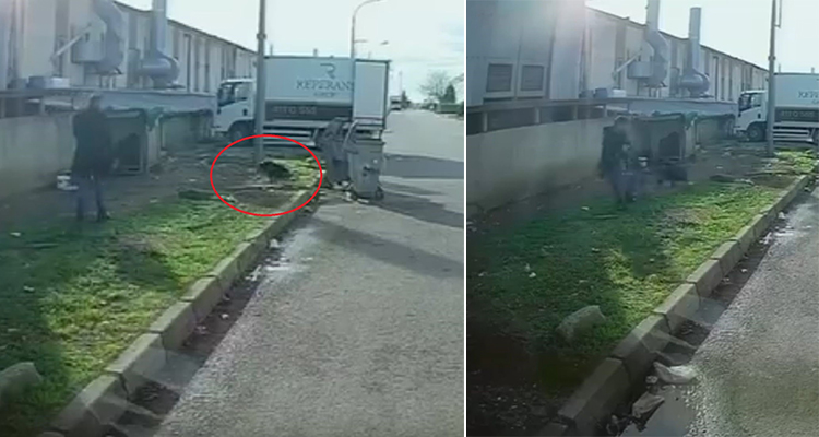 Bursa’da başıboş köpek saldırısı! Olay, Bursa’nın Nilüfer ilçesi Nilüfer Organize Sanayi Bölgesinde meydana geldi.