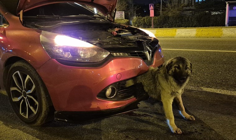 Kendisine çarpan otomobilin tamponuna sıkıştı! Atatürk Bulvarı’nda, gece saatlerinde H.G. idaresindeki 34 GU 3224 plakalı