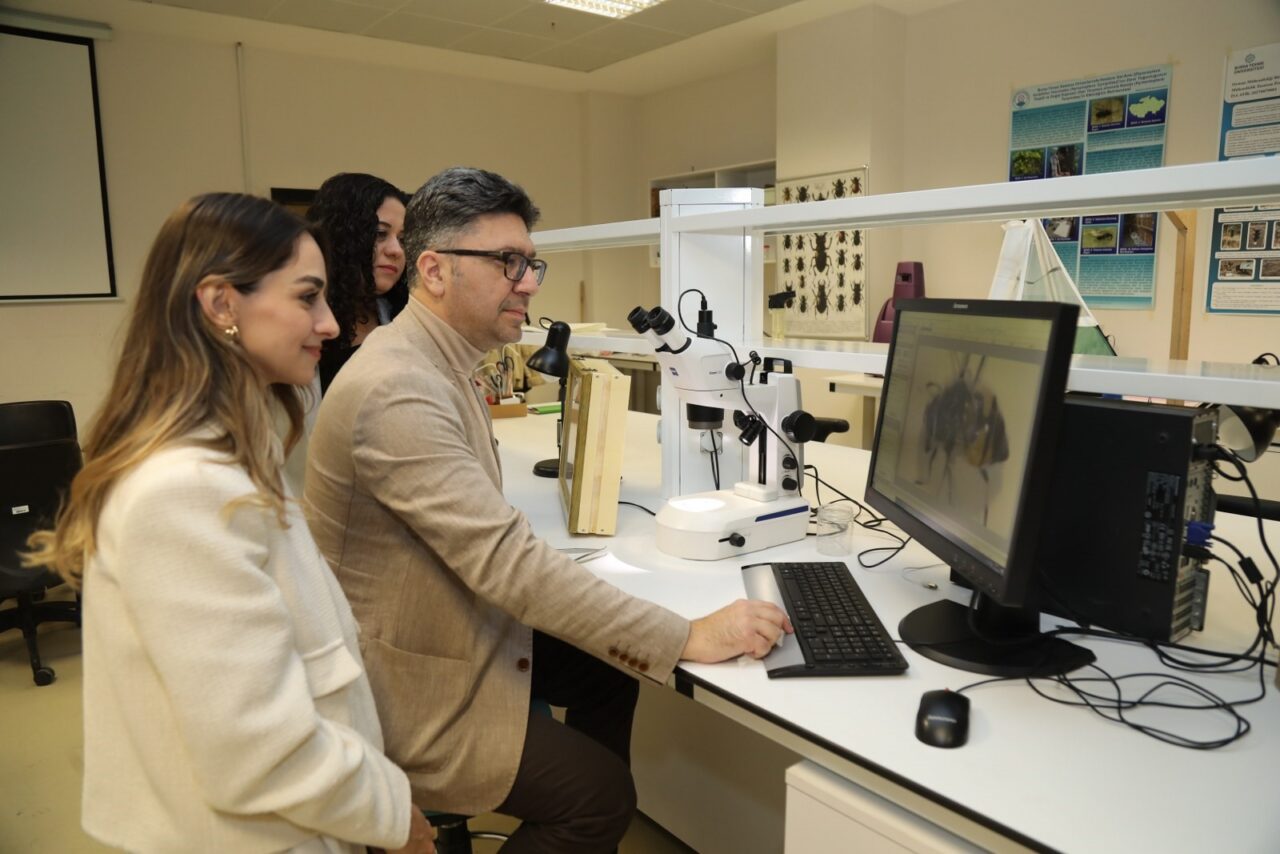 BTÜ Uludağ ormanlarındaki arıların tür çeşitliliğini belirleyecek Bursa Teknik Üniversitesi (BTÜ) Orman Fakültesi Öğretim Üyesi Prof. Dr.