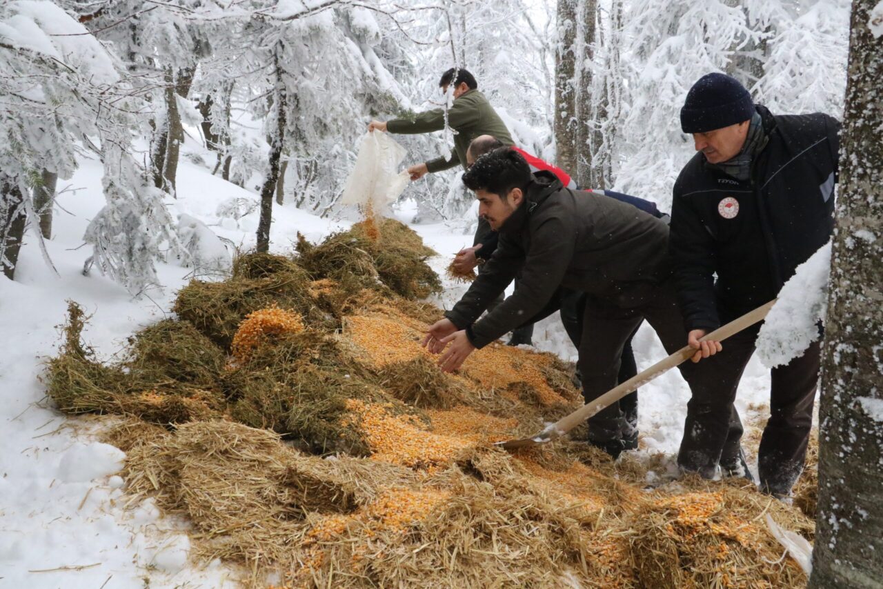 Doğa Koruma ve Milli Parklar Uludağ’daki yaban hayvanlarını unutmadı Sabah saatlerinde Uludağ’da araziye çıkan Doğa Koruma ve Milli Parklar