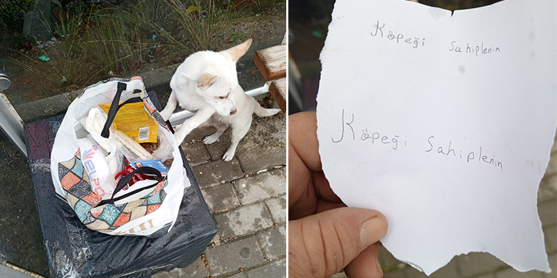 Bursa’da görenleri şaşkına çeviren not! Gemlik ilçesinde sabah saatlerinde durağın yanında yiyecek dolu bir poşet