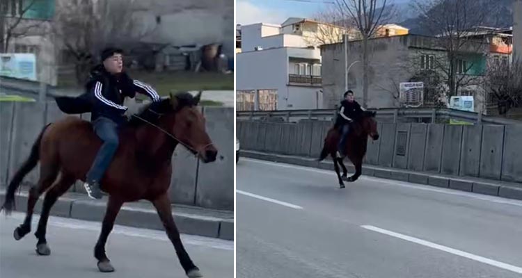 Bursa trafiğinde ilginç görüntüler! Bursa’nın Yıldırım ilçesinde 15-16 yaşlarındaki bir genç bindiği atıyla trafiğe