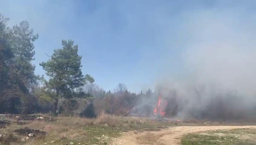Mustafakemalpaşa’da korkutan yangın! Yangın, Mustafakemalpaşa ilçesi Söğütalan Mahallesi’nde bulunan zirai alanda başladı. Alevler