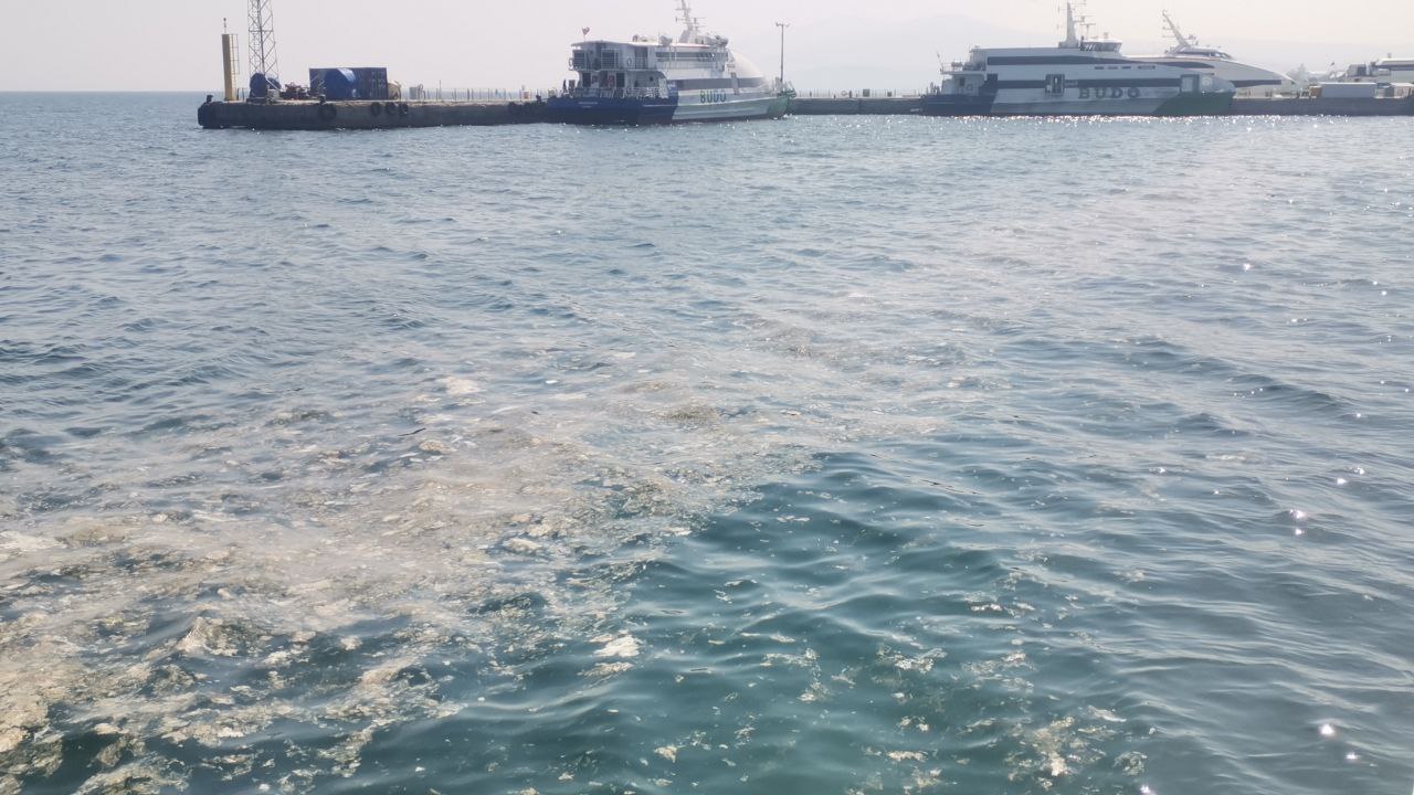 Bursa’da kâbus geri döndü Marmara Denizi’nde farklı noktalarda etkisini sürdüren müsilaj, Mudanya sahilinde de