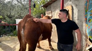 İznik ilçesinde besi çiftliği bulunan Hüseyin Yıldız, çok sayıda kurbanlık