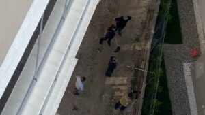 Nilüfer ilçesi Kurtuluş Mahallesindeki bir sitenin bahçe tellerine sarılı halde