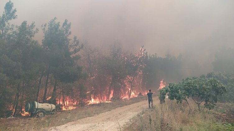 Bursa, orman yangınlarına karşı teyakkuza geçti Bursa Valisi Erol Ayyıldız, yangın riskinin arttığı yaz mevsiminde, orman