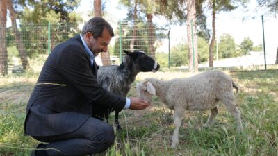 Gürsu Belediyesi’nin yaklaşık 80 dönüm arazi üzerinde ilçe halkının hizmetine