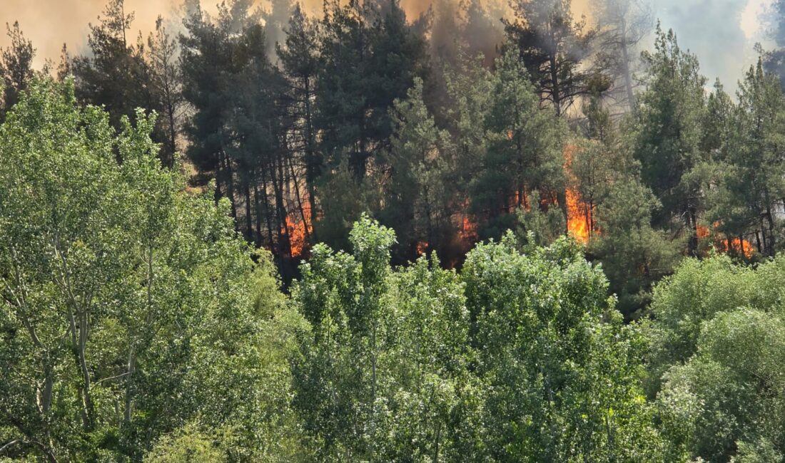 Bursa’da korkutan yangın! Müdahale sürüyor Bursa’nın Orhaneli ilçesinde ormanlık alanda yangın çıktı. İtfaiye ve Orman