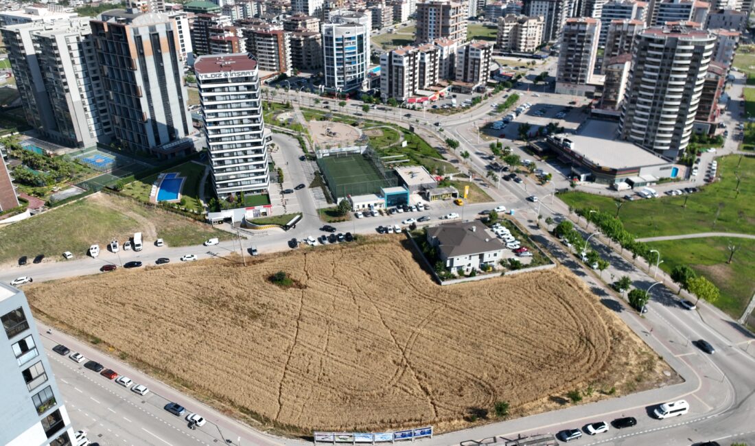 Bursa’da milyon dolarlık gökdelenlerin ortasında hasat Bursa'nın hızla gelişen ilçesi Nilüfer'de, modern yaşamın ve kentleşmenin simgesi