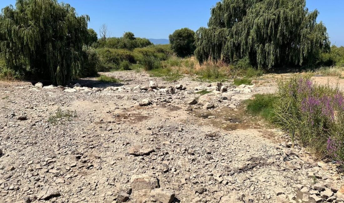 İznik’te alarm! Korkutan manzara böyle görüntülendi Bursa'nın İznik ilçesine bağlı Çakırca Mahallesi'nde bulunan ve İznik Gölü'nü