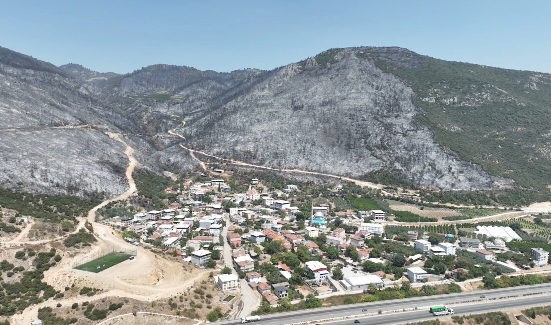 Yeşil Bursa’nın yemyeşil ormanları böyle karardı Bursa'nın ciğerlerini yakıp kavuran orman yangınlarından geriye karanlık ve sessizlik