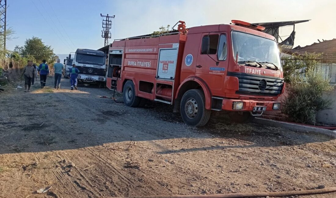 Mustafakemalpaşa’da et üretim çiftliğinde yangın Bursa’nın Mustafakemalpaşa ilçesinde bir et üretim çiftliğinde çıkan yangın kısa