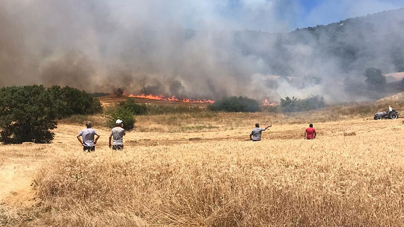 Bursa’da bir orman yangını daha! Bursa’nın Yenişehir ilçesinde anızda başlayıp ormana sıçrayan yangına havadan ve