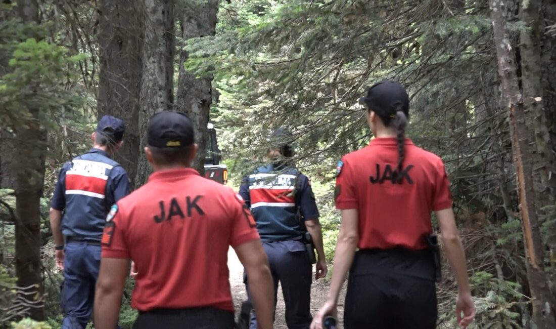 Uludağ karış karış gözlem altında Bursa'da Gürsu-Kestel ve Harmancık-Orhaneli yangınlarıyla herkesin ciğerleri yanarken, bir daha