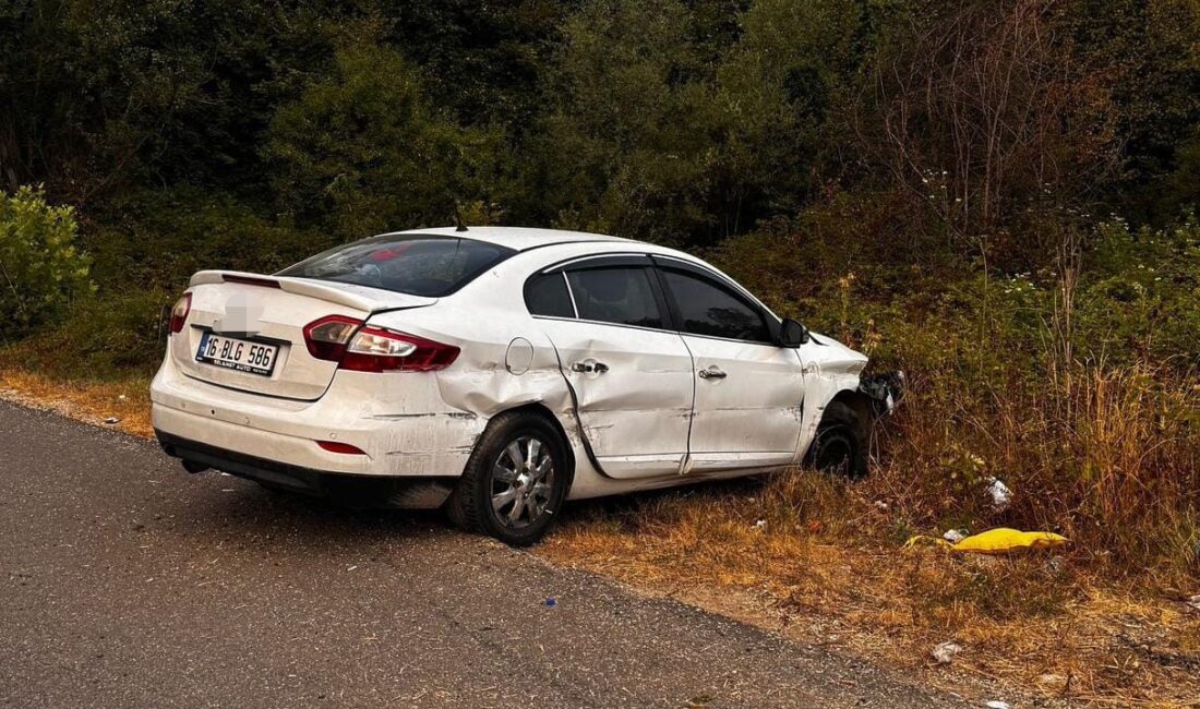 İnegöl’de tarlaya uçan otomobildeki 5 kişi yaralandı Bursa'nın İnegöl ilçesinde meydana gelen kazada kamyonetin sıkıştırması sonucunda otomobil