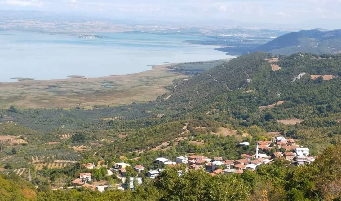 Bursa’nın ‘Siyah İncisi’nde yeni adres! Onaç Mahallesi'nin tarımsal zenginliği, incir, zeytin, defne ve orman ürünleriyle