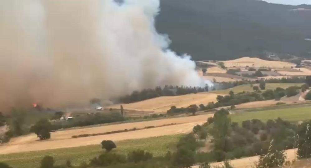 Bursa Yenişehir’de orman yangını Bursa’nın Yenişehir ilçesine bağlı Kavaklı köyü kırsalında çıkan orman yangınına,