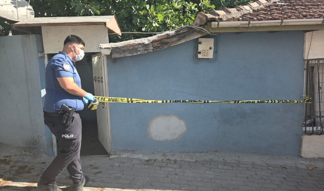 Bursa'nın Orhangazi ilçesinde yaşayan 67 yaşındaki sıvacı ustası Dursun Ali