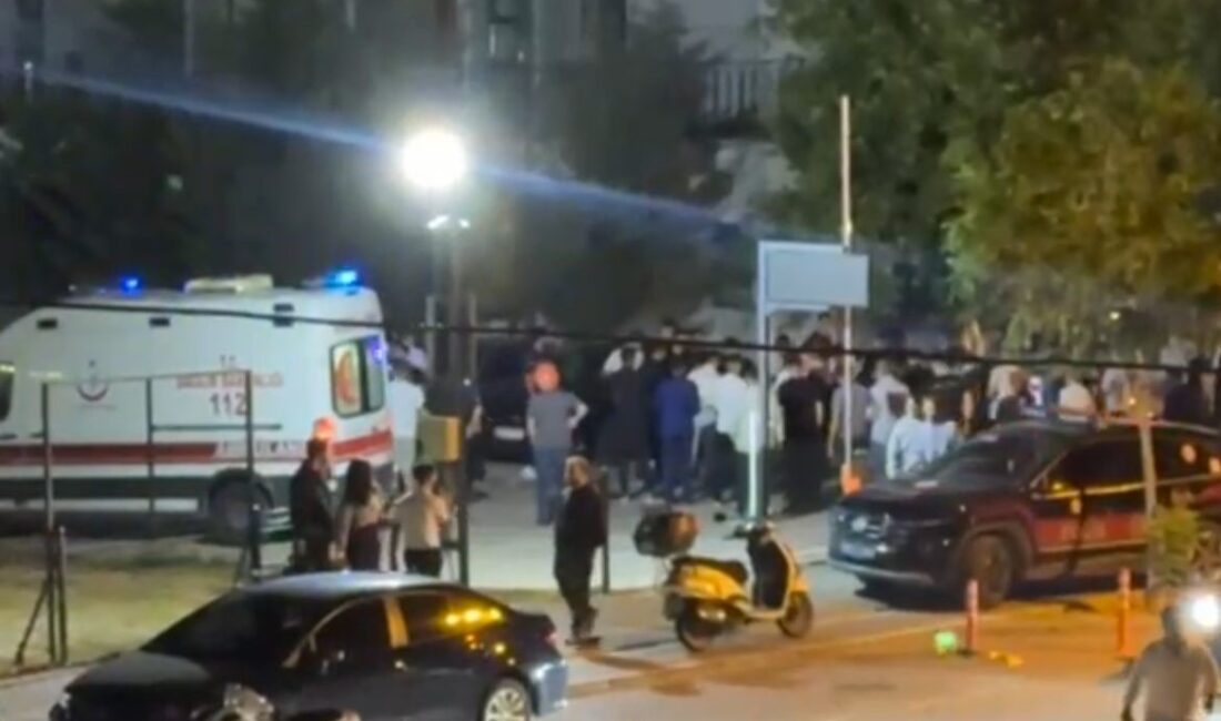 Bursa’da sokak ortasında vahşet: 1 kişi öldüresiye darbedildi Bursa'nın Nilüfer ilçesinde iki kişi, tartıştıkları bir vatandaşı sokak ortasında