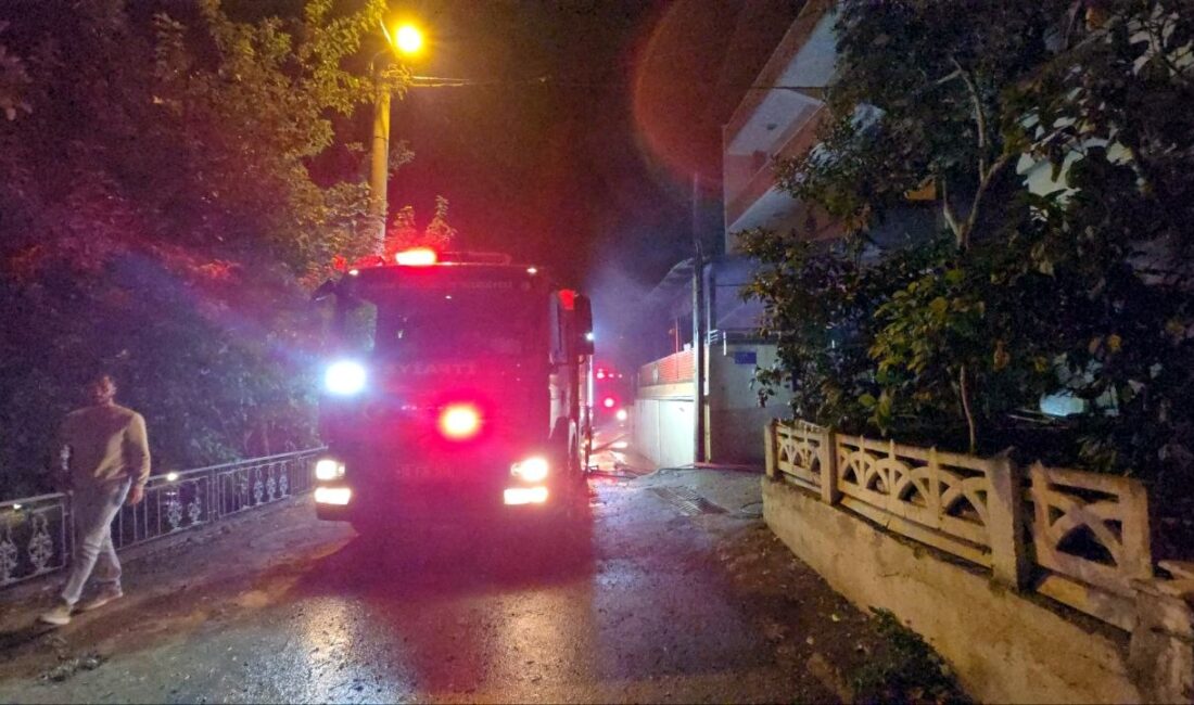 Mudanya’da üç katlı binada korkutan yangın Bursa'nın Mudanya ilçesi Altıntaş Mahallesi'nde üç katlı kullanılmayan binada çıkan