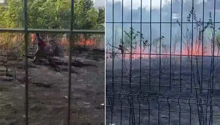 Bursa’da lise bahçesinde korku dolu anlar! Bursa'daki Hamidiye Tarım Mesleki ve Teknik Anadolu Lisesi bahçesindeki yangın,
