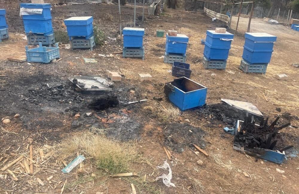 Yangın mağduru arıcılara Bursa Büyükşehirden destek Bursa Büyükşehir Belediyesi, kentin arıcılık sektörünü desteklemek ve özellikle yangın