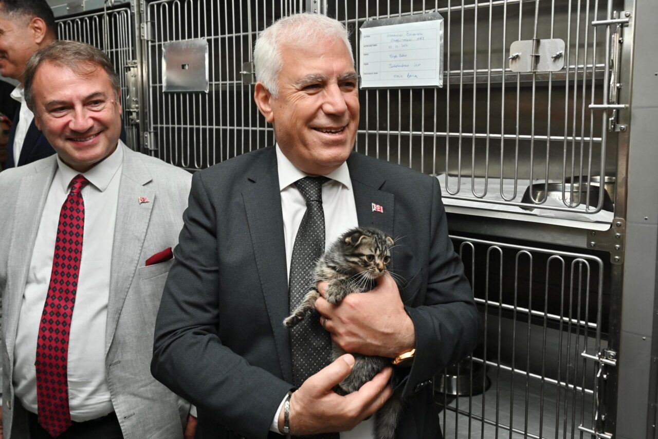 Sokaklarda yaşam mücadelesi veren can dostlar, Bursa Büyükşehir Belediyesi'nin şefkat