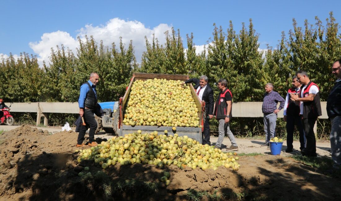 Bursa’da pestisite geçit yok: 40 ton armut imha edildi Bursa İl Tarım ve Orman Müdürlüğü’nün hasat öncesi yaptığı pestisit