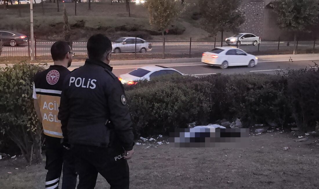 Yeşil alanda erkek cesedi bulundu İnegöl ile Alanyurt'u birbirine bağlayan köprülü kavşaktaki yeşil alanda erkek