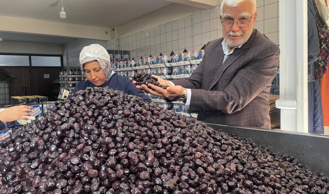 Bursa’nın Katırlı Dağları’ndan İsviçre sofralarına Bursa'nın Gemlik ilçesinde faaliyet gösteren Katırlı Köyü Tarımsal Kalkınma Kooperatifi,
