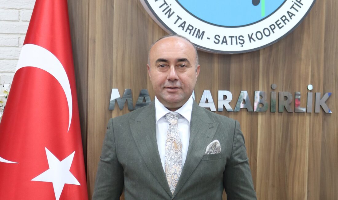 Marmarabirlik ürün alım fiyatlarını açıkladı Marmarabirlik, 2025-2026 iş yılı ürün alım kampanyasında sofralık zeytinde tavan