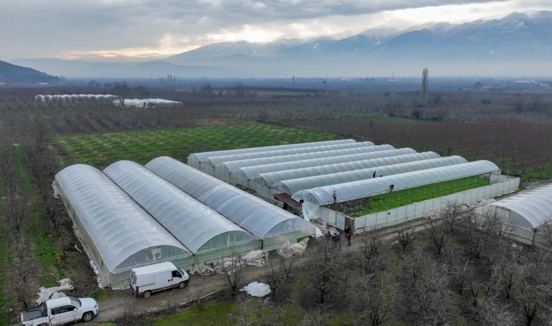 Bursa’da lodostan zarar gören seralara Büyükşehir desteği Bursa Büyükşehir Belediyesi, afetlerden olumsuz etkilenen çiftçilere yönelik desteklerini sürdürüyor.
