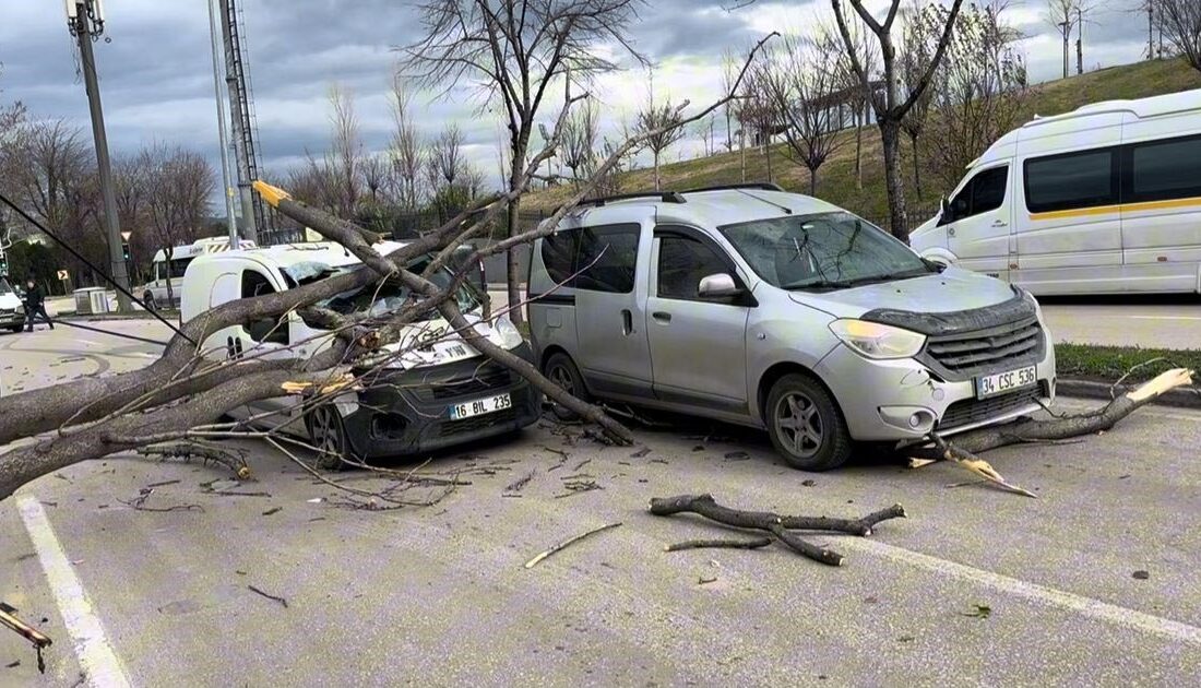 Bursa’da seyir halindeki araçların üzerine ağaç devrildi Bursa'da etkili lodos, refüjdeki ağaçları devirdi. Devrilen ağaçlar seyir halindeki