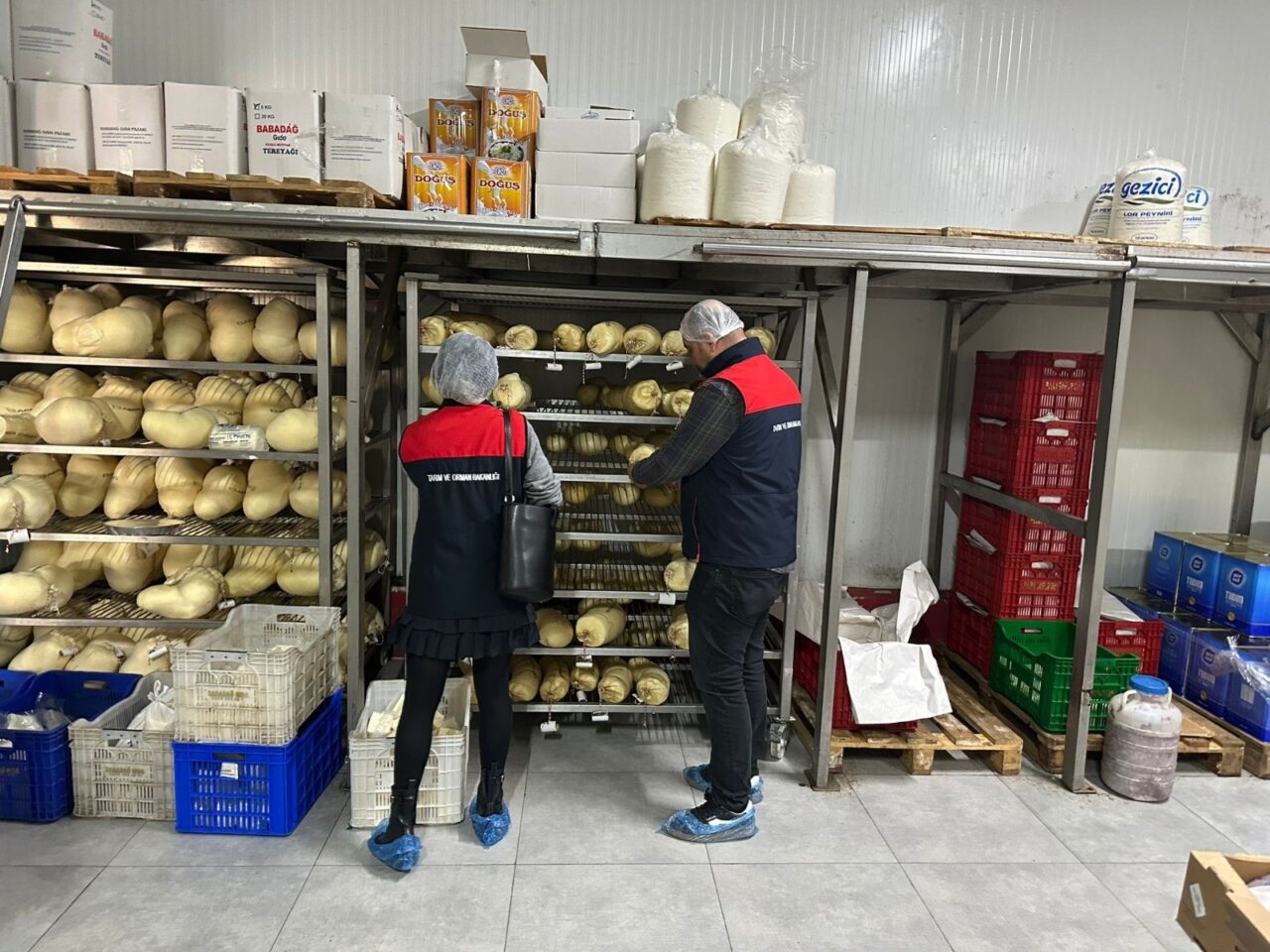 Tarım ve Orman Bakanlığı Gıda ve Kontrol Genel Müdür Yardımcısı