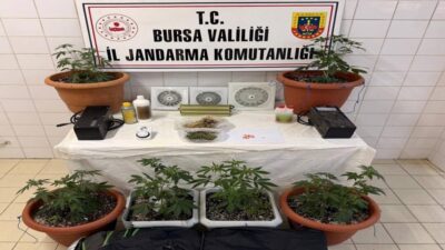 Bursa'nın Nilüfer ilçesinde evini uyuşturucu imalathanesine çeviren bir kişi jandarma