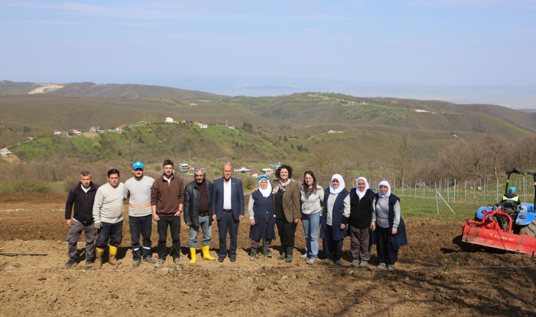 Nilüfer’de yeni gelir kapısı! Nilüfer Belediyesi, Kadriye Mahallesi’nde 400 böğürtlen fidanı dikerek alternatif tarıma