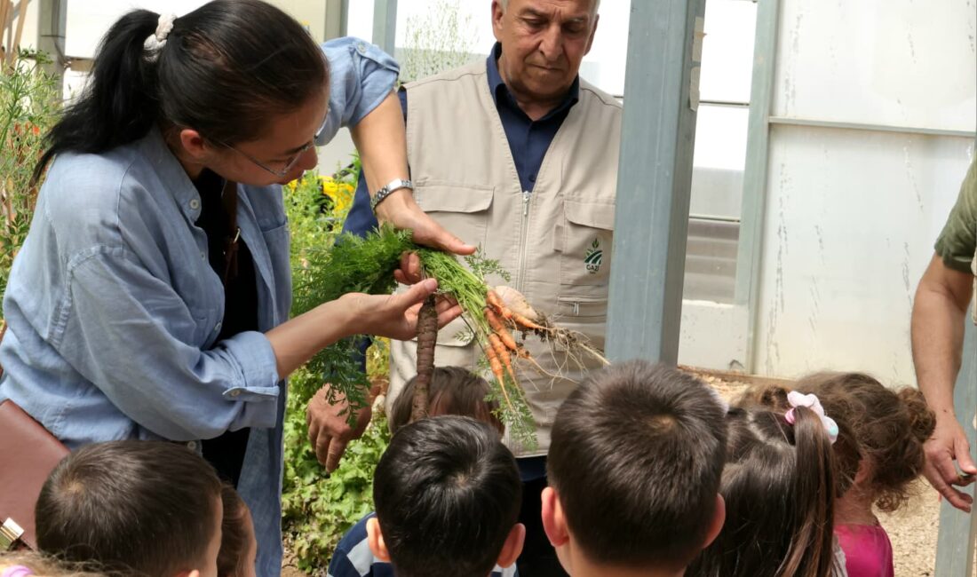 Minikler toprağa dokundu… Osmangazi’de düzenlenen etkinlikte çocuklar serada tohum ekti, fide dikti ve