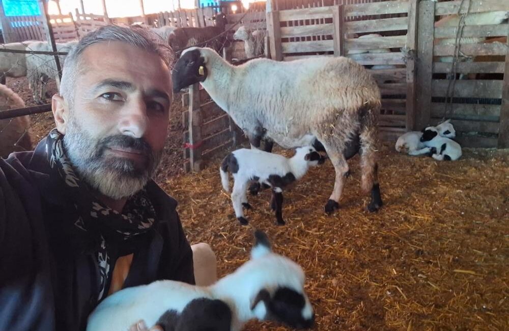 Verimi katladı… Denizli'nin Pamukkale ilçesinde büyükbaş hayvancılığı bırakarak küçükbaş üretime yönelen iki